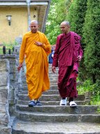 Vesakh 2019 - 8 sil, Vorbereitungen und Meditation